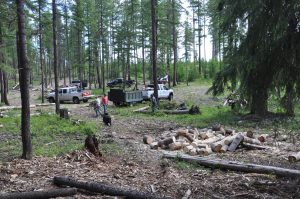 A forest managed by Wildlands Eco-Forestry Inc. with clearings cut and trucks, vehicles and people nearby taking away the debris to help with wildfire protection.