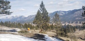 Two Wildlands Eco-Forestry Inc. employees work to clear an area for wildfire safety and management by using a controlled burn pile.