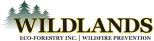 The Wildlands Eco-Forestry Inc. logo in yellow, green and black.