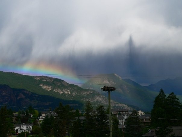 Rainbow and Osprey Nest Invermere