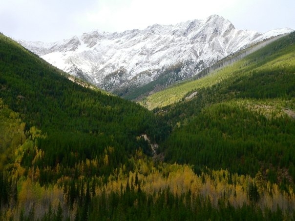 Rocky Mountains East of Radium Hot Springs