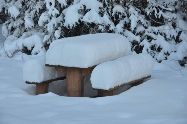 Kootenay National Park