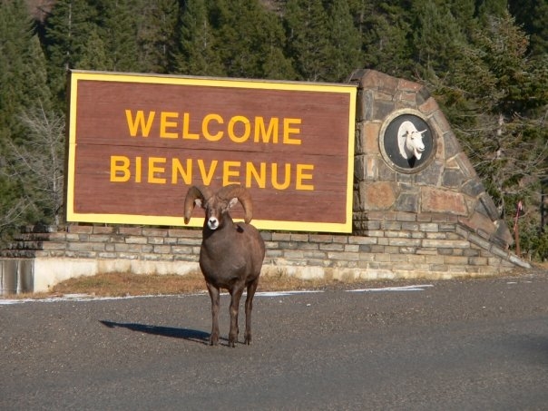 Welcome Sign