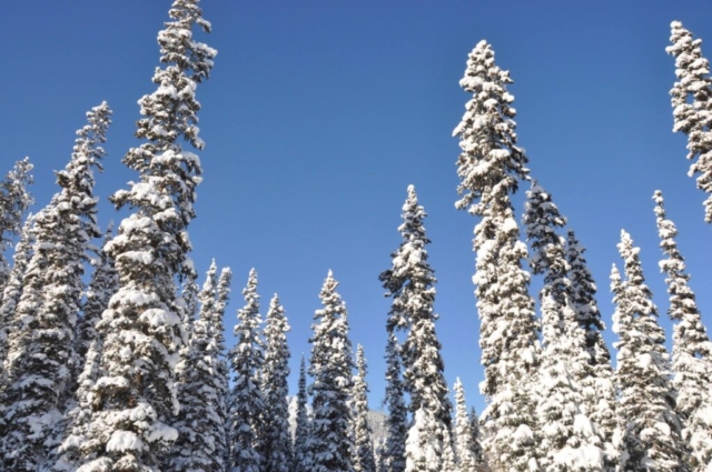 Winter in the Rocky Mountains