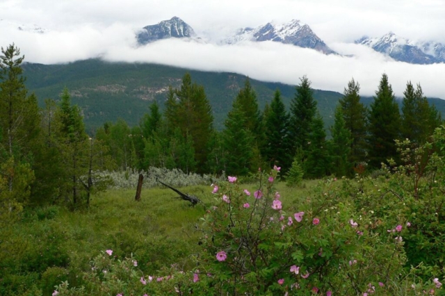 Fairmont Range Rocky Mountain Trench BC